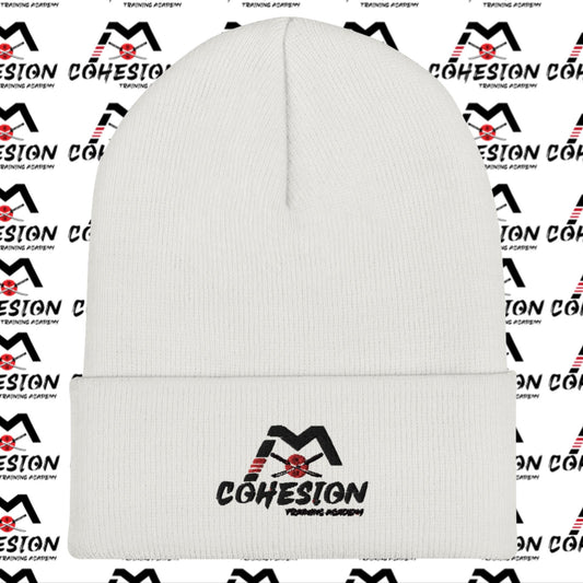 Cohesion Cuffed Beanie