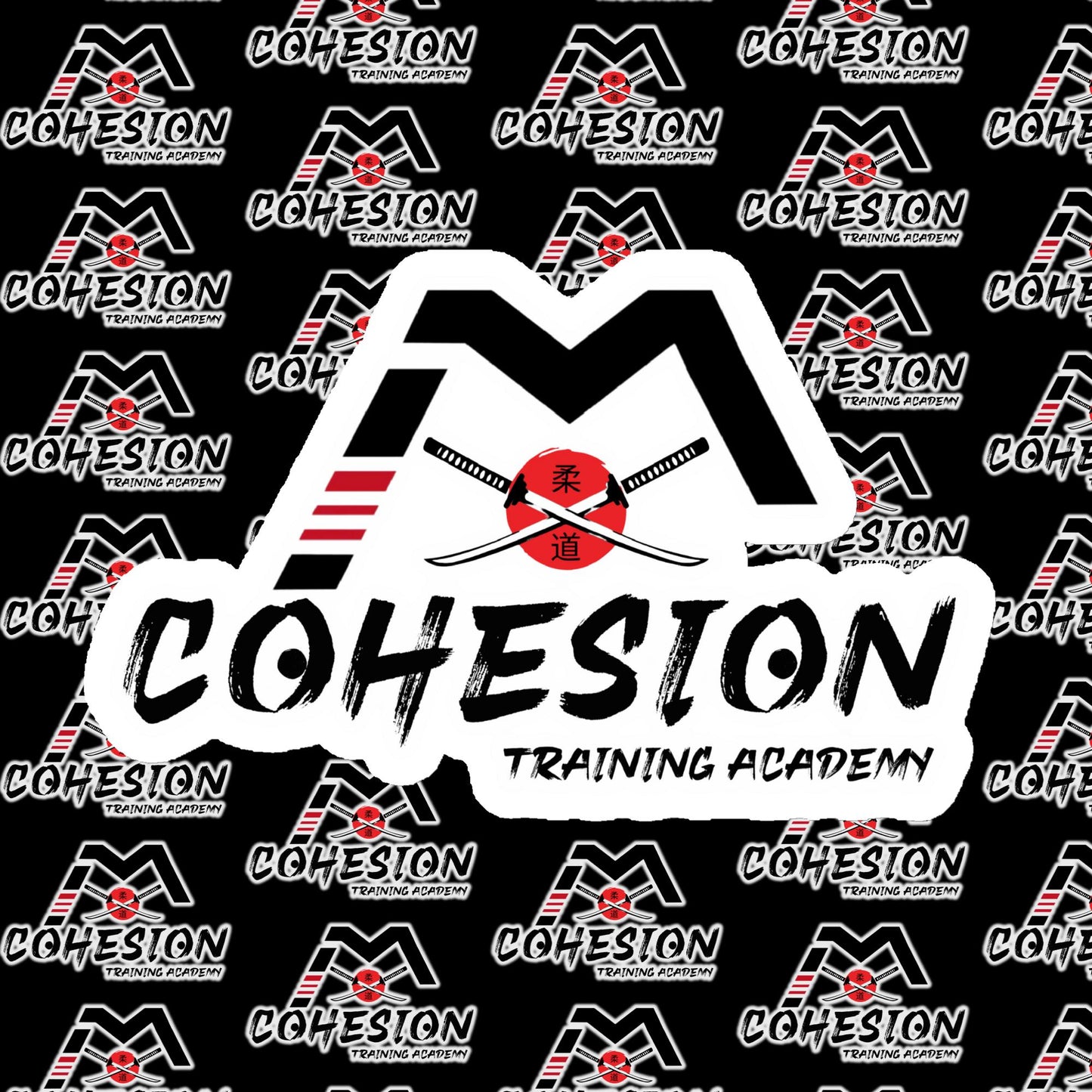 Cohesion Training Academy Magnet